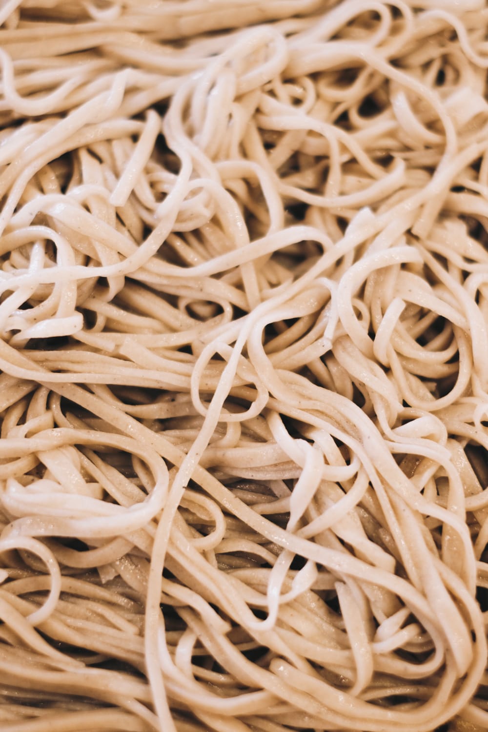 越後湯沢と、さよならE4系MAX