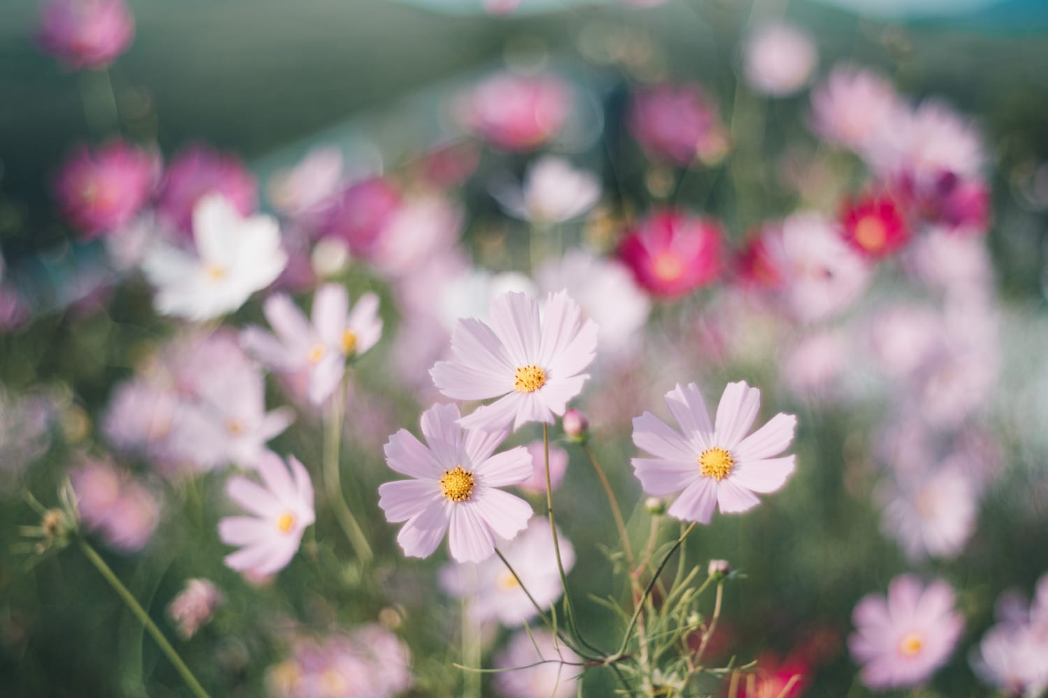 美祢・長門 Vol.2