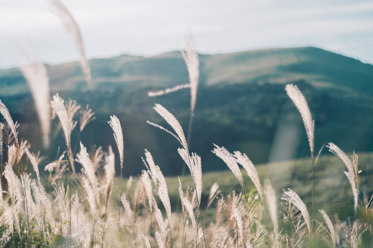 美祢・長門 Vol.2