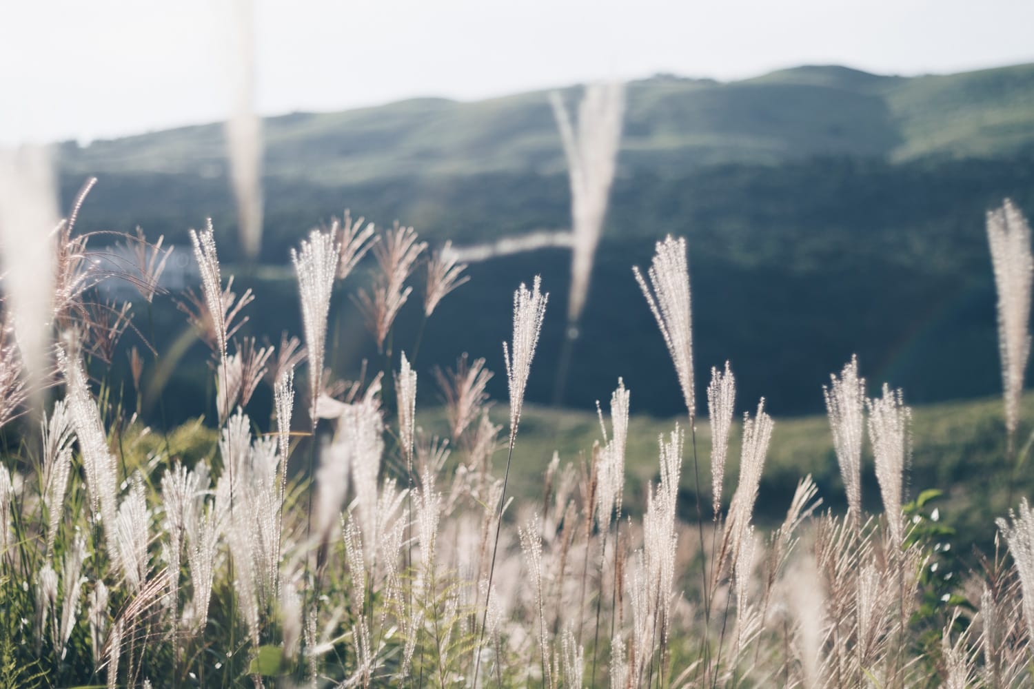 美祢・長門 Vol.2