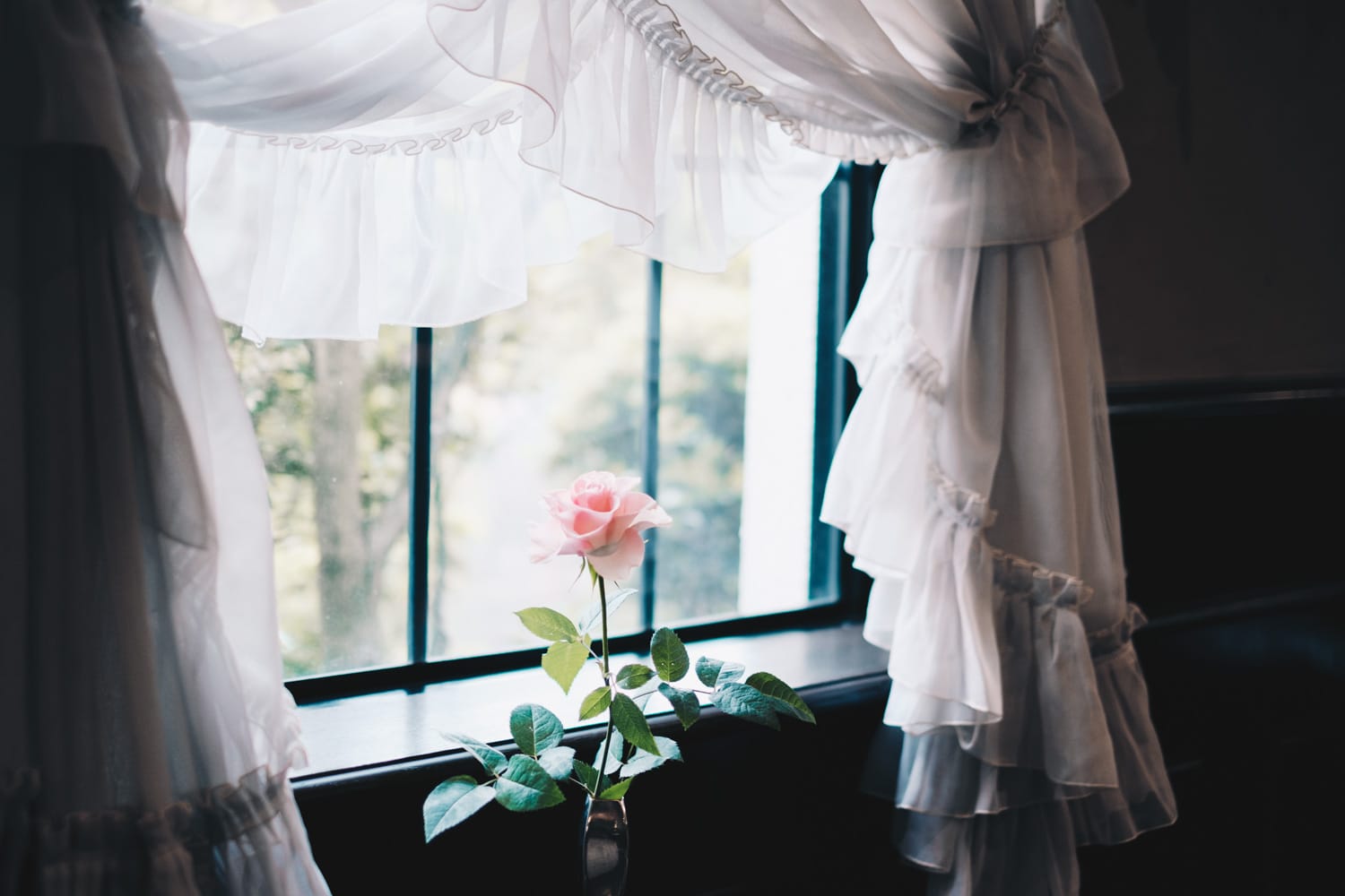 オーストリッヒカフェ・ウィーン