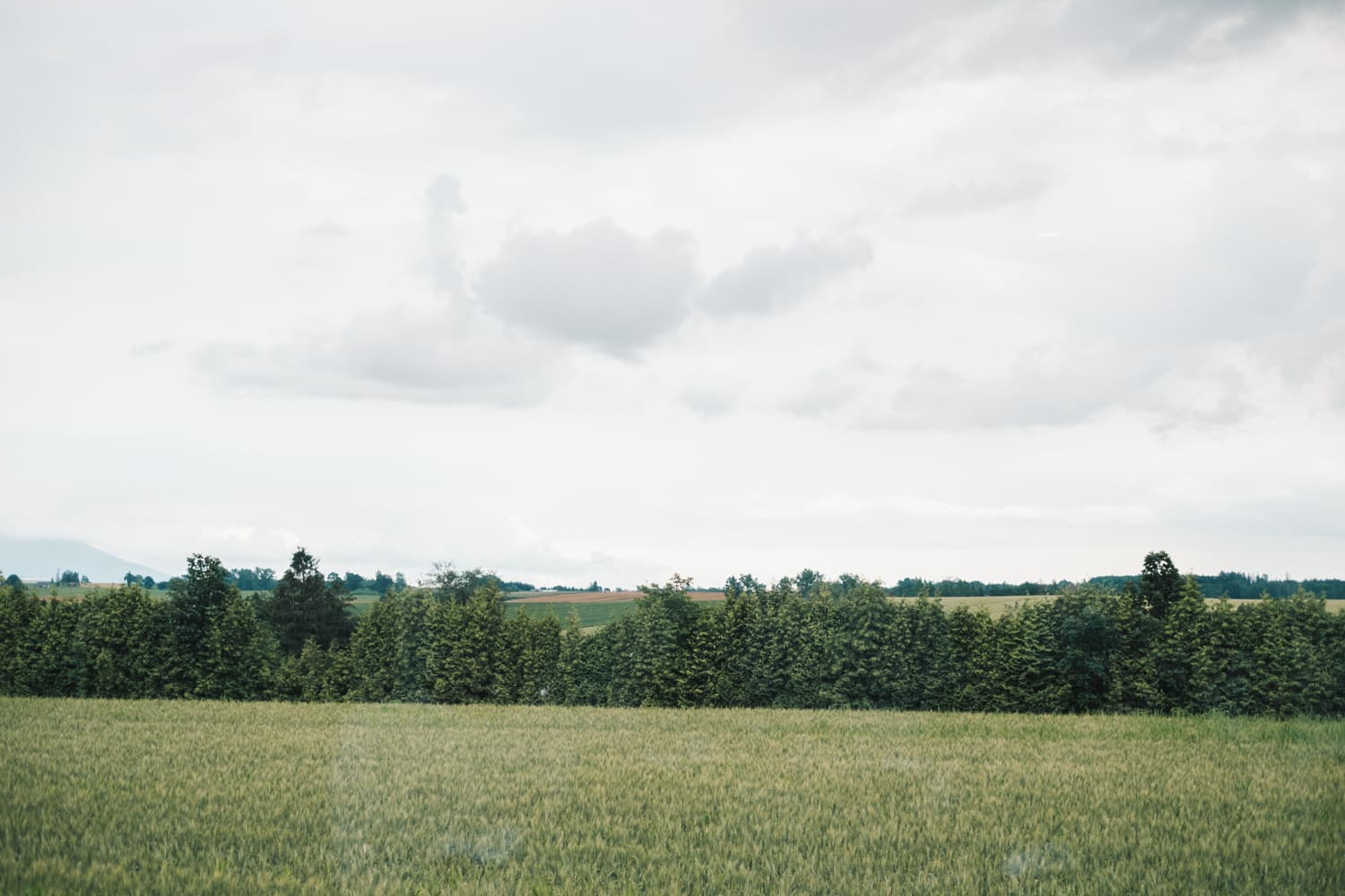 北海道 Vol.6 ―  bi.blé