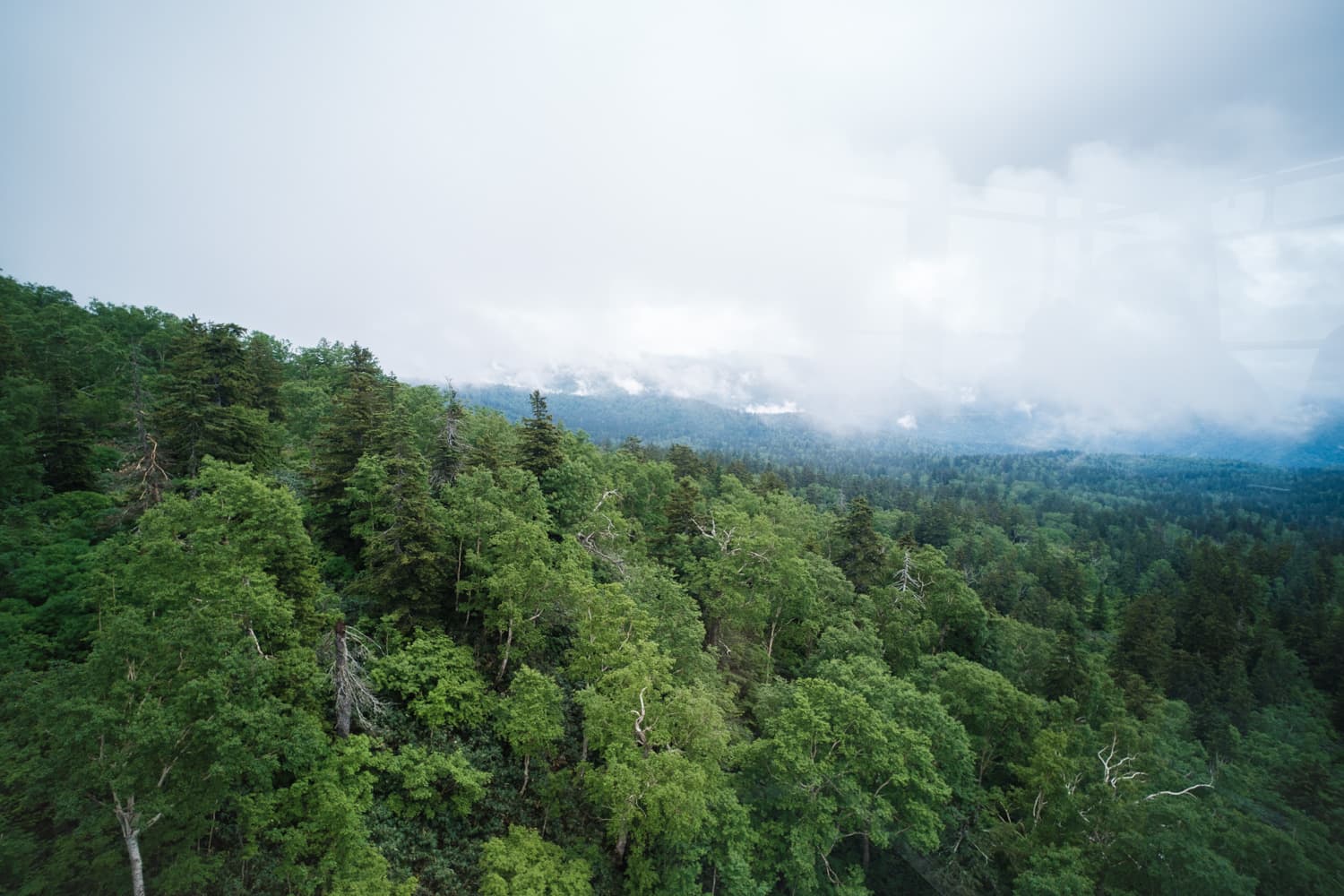 北海道 Vol.5 ― 旭岳