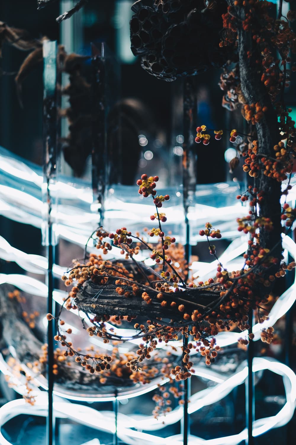 日本科学未来館