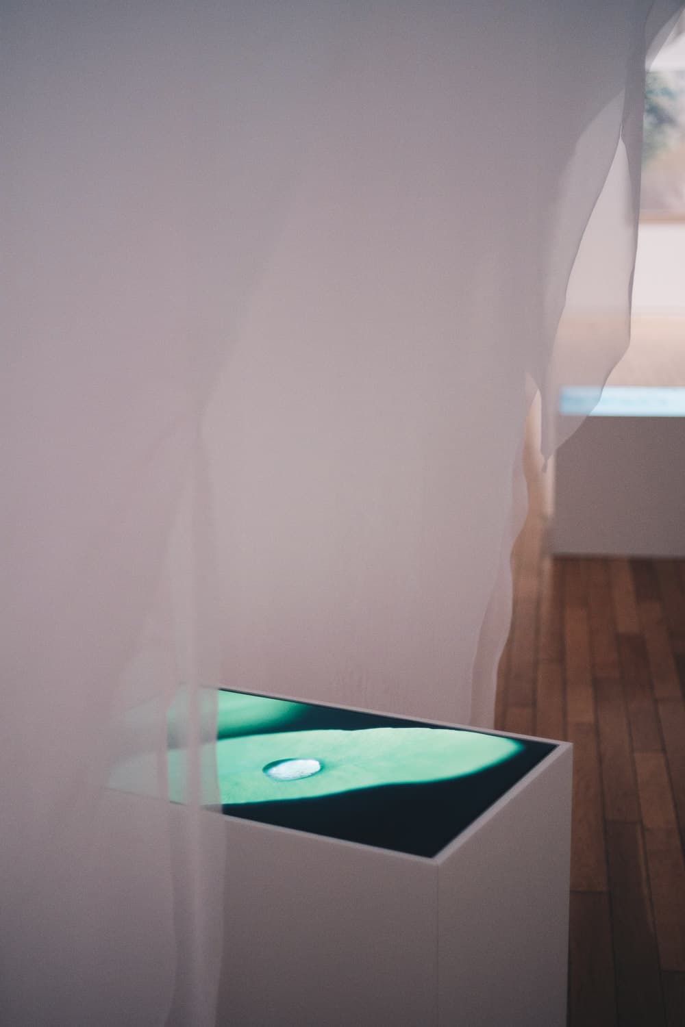 GENGEN AN 渋谷店 ｜ 川内倫子写真展