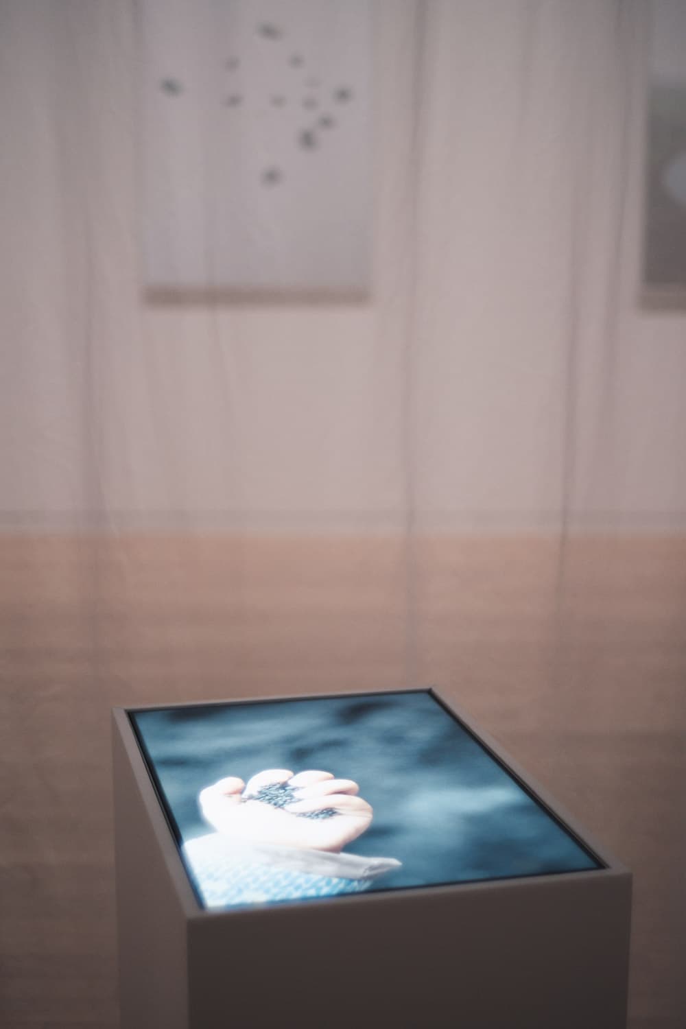 GENGEN AN 渋谷店 ｜ 川内倫子写真展