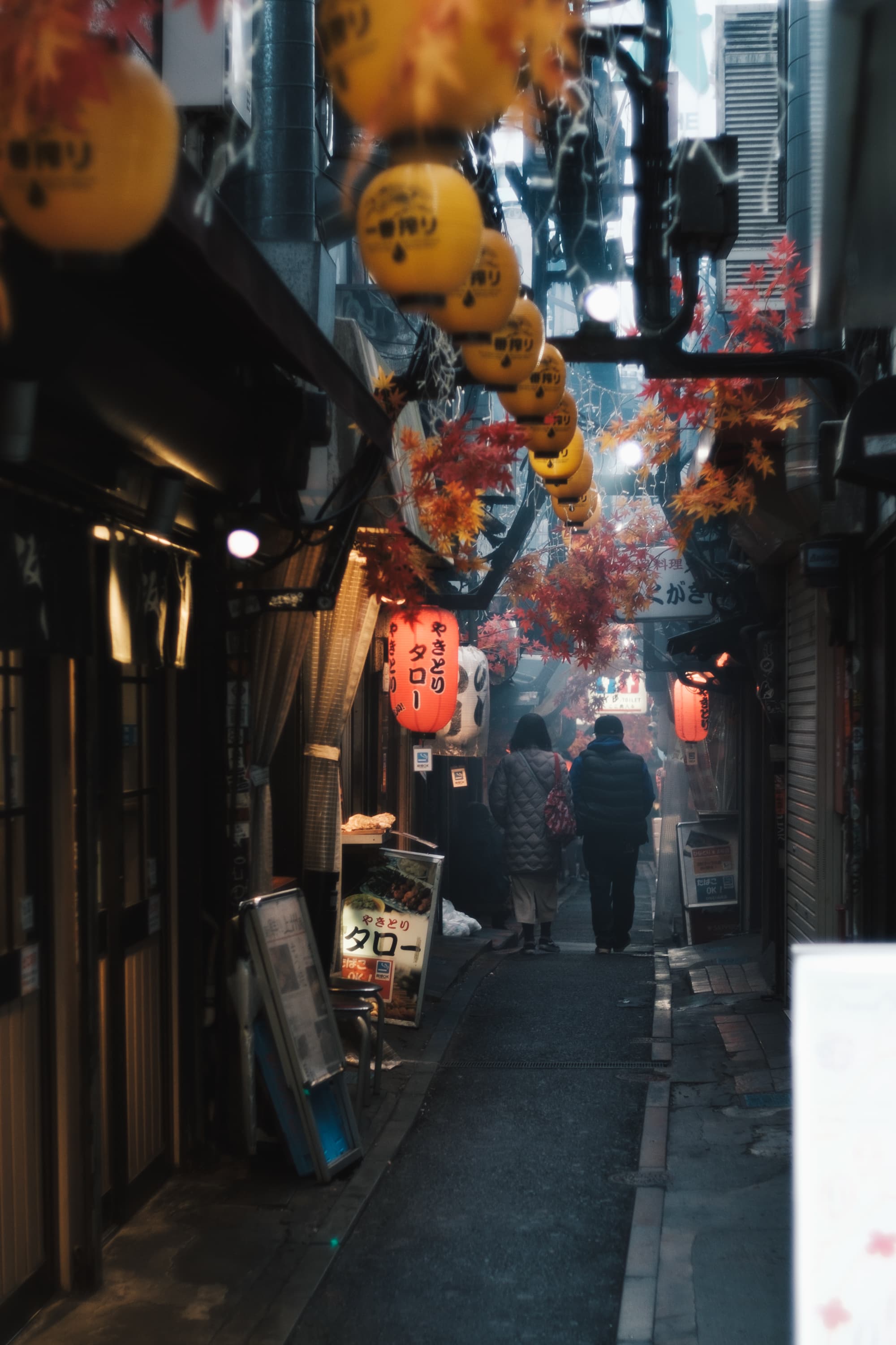 カメラを求めて新宿へ